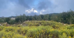 Land for Sale Mechmech Jbeil Area 1330Sqm