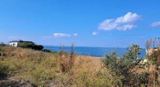 Land for Sale Berbara Jbeil Area 5759Sqm