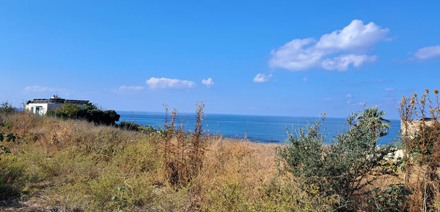 Land for Sale Berbara Jbeil Area 5759Sqm