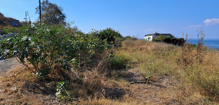 Land for Sale Berbara Jbeil Area 5759Sqm
