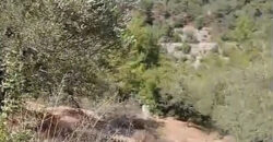 Land for Sale Mazraat Aassaf Bsharri Area 985Sqm Land for Sale Mazraat Aassaf Bsharri Area 985Sqm