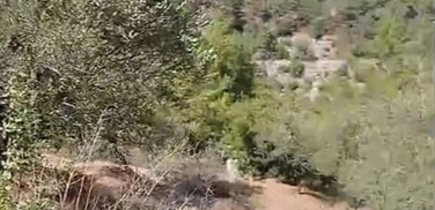 Land for Sale Mazraat Aassaf Bsharri Area 985Sqm Land for Sale Mazraat Aassaf Bsharri Area 985Sqm