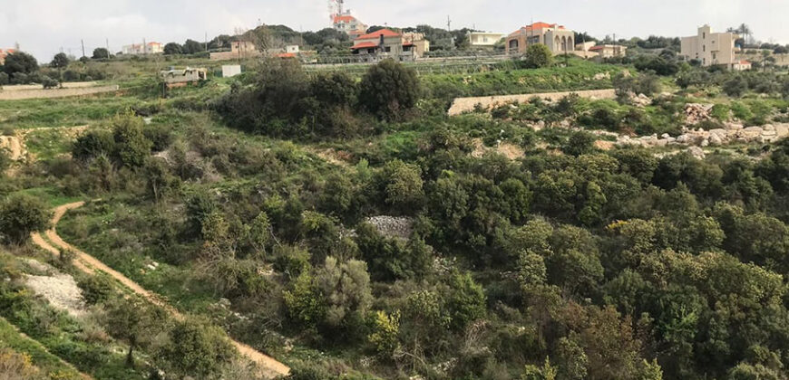 Land for Sale Maad Jbeil Area 5400Sqm Land for Sale Maad Jbeil Area 5400Sqm