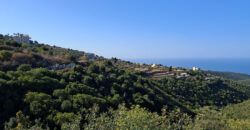 Land for Sale Maad Jbeil Area 5400Sqm Land for Sale Maad Jbeil Area 5400Sqm
