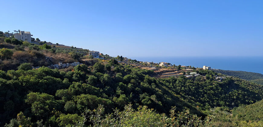 Land for Sale Maad Jbeil Area 5400Sqm Land for Sale Maad Jbeil Area 5400Sqm