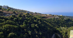 Land for Sale Maad Jbeil Area 5400Sqm Land for Sale Maad Jbeil Area 5400Sqm