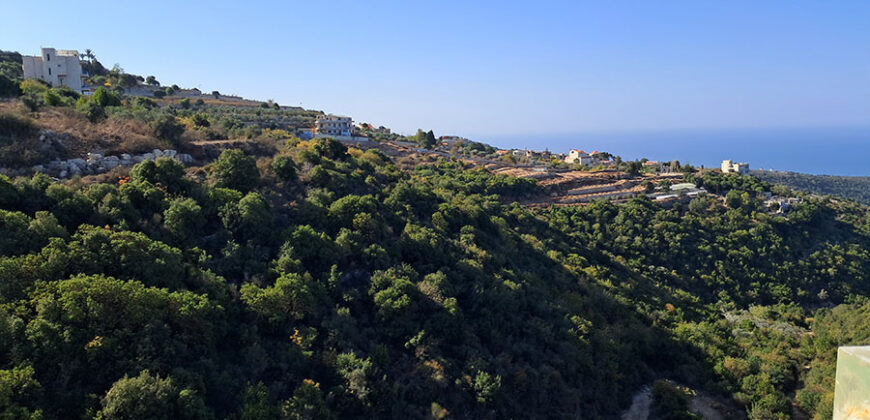 Land for Sale Maad Jbeil Area 5400Sqm Land for Sale Maad Jbeil Area 5400Sqm
