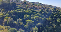 Land for Sale Maad Jbeil Area 5400Sqm Land for Sale Maad Jbeil Area 5400Sqm