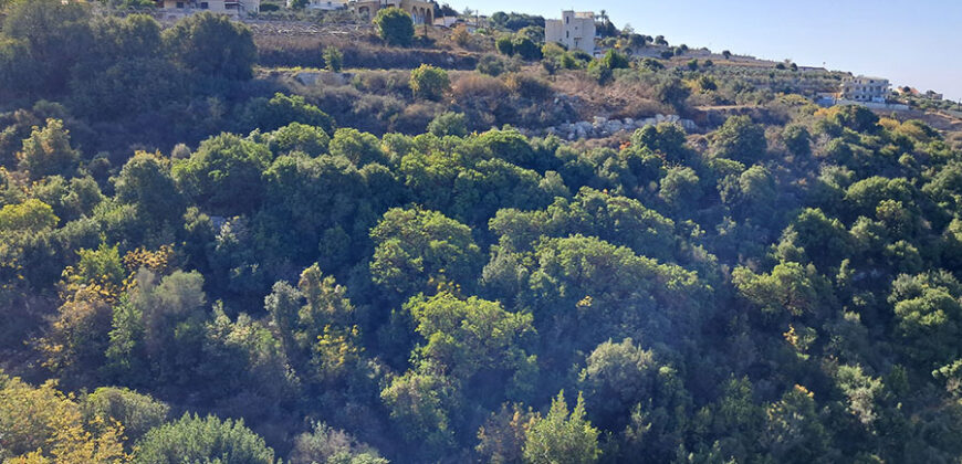 Land for Sale Maad Jbeil Area 5400Sqm Land for Sale Maad Jbeil Area 5400Sqm