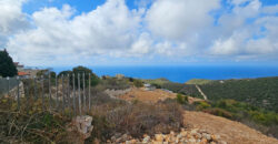 Land for Sale Chmout Jbeil Area 3818Sqm Land for Sale Chmout Jbeil Area 3818Sqm