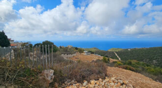 Land for Sale Chmout Jbeil Area 3818Sqm Land for Sale Chmout Jbeil Area 3818Sqm