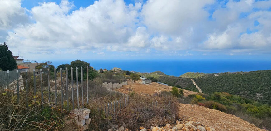 Land for Sale Chmout Jbeil Area 3818Sqm Land for Sale Chmout Jbeil Area 3818Sqm