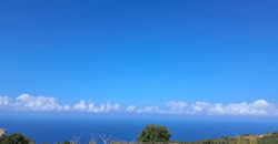 Land for Sale Chmout Jbeil Area 3818Sqm Land for Sale Chmout Jbeil Area 3818Sqm