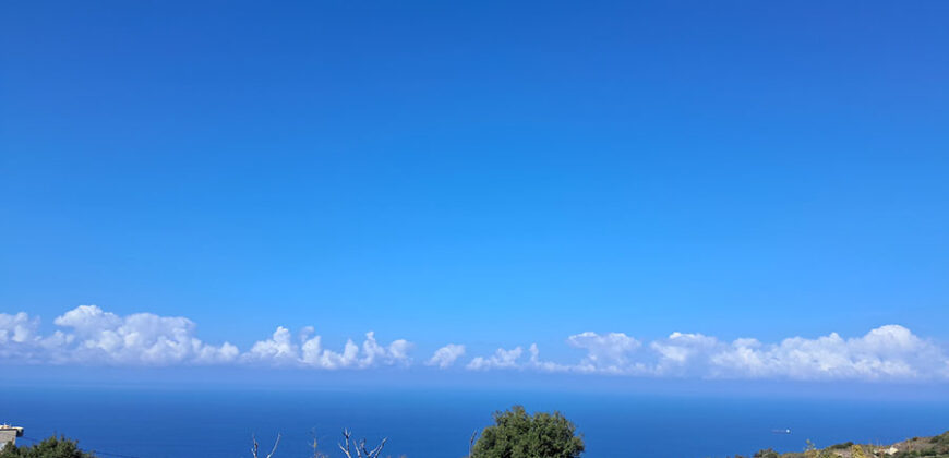 Land for Sale Chmout Jbeil Area 3818Sqm Land for Sale Chmout Jbeil Area 3818Sqm