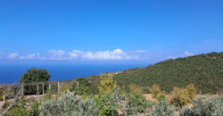 Land for Sale Chmout Jbeil Area 3818Sqm Land for Sale Chmout Jbeil Area 3818Sqm