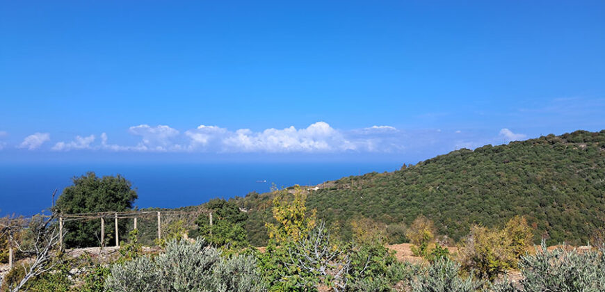 Land for Sale Chmout Jbeil Area 3818Sqm Land for Sale Chmout Jbeil Area 3818Sqm