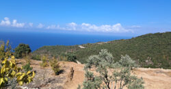 Land for Sale Chmout Jbeil Area 3818Sqm Land for Sale Chmout Jbeil Area 3818Sqm