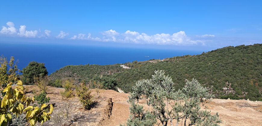 Land for Sale Chmout Jbeil Area 3818Sqm Land for Sale Chmout Jbeil Area 3818Sqm
