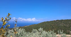 Land for Sale Chmout Jbeil Area 3818Sqm Land for Sale Chmout Jbeil Area 3818Sqm