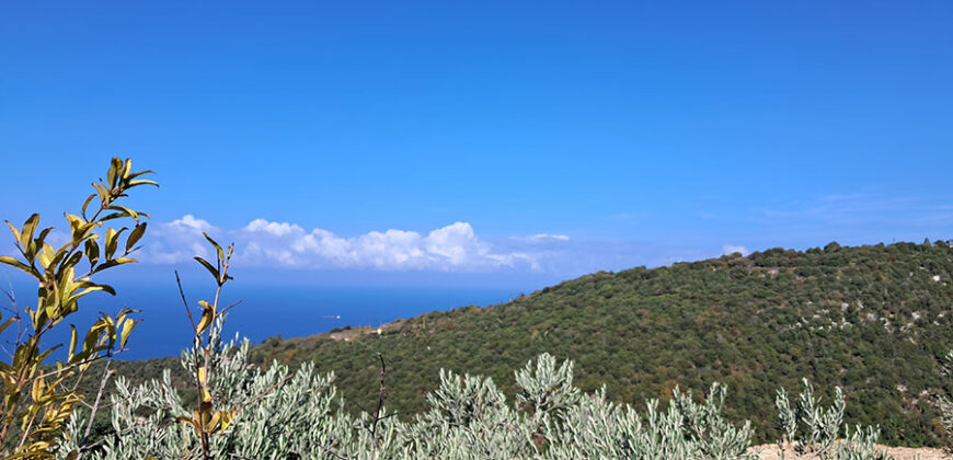 Land for Sale Chmout Jbeil Area 3818Sqm Land for Sale Chmout Jbeil Area 3818Sqm