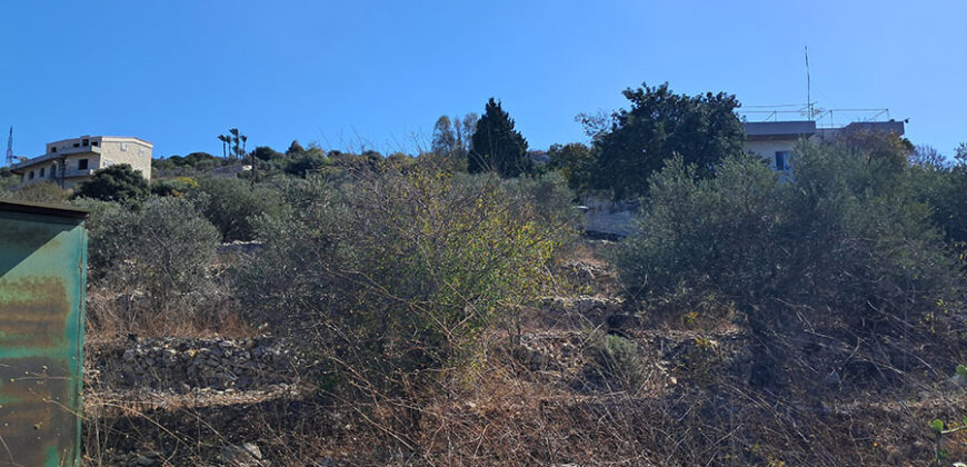 Land for Sale Chmout Jbeil Area 3818Sqm Land for Sale Chmout Jbeil Area 3818Sqm