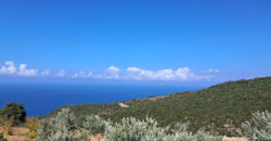 Land for Sale Chmout Jbeil Area 3818Sqm Land for Sale Chmout Jbeil Area 3818Sqm