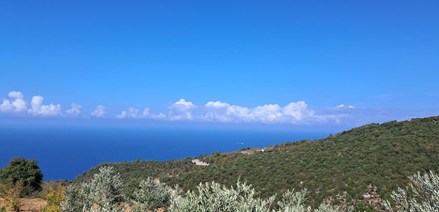 Land for Sale Chmout Jbeil Area 3818Sqm Land for Sale Chmout Jbeil Area 3818Sqm