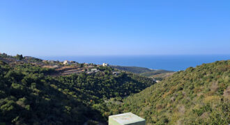 Land for Sale Chmout Jbeil Area 4100Sqm Land for Sale Chmout Jbeil Area 4100Sqm