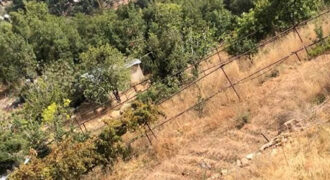Land for Sale Ehmej Jbeil Area 1162Sqm