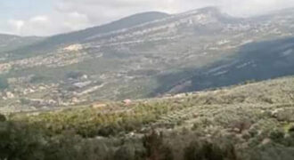 Land for Sale Douma Batroun Area 650Sqm