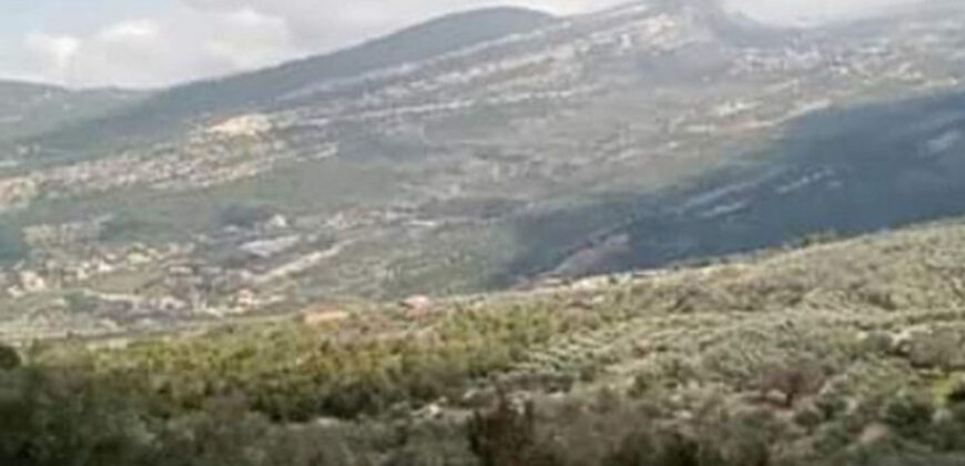 Land for Sale Douma Batroun Area 650Sqm