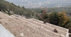 Land for Sale Douma Batroun Area 650Sqm