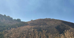 Land for Sale Aaqoura ( Laqlouq ) Jbeil Area 1500Sqm