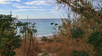 Land for Sale Jbeil ( Byblos City ) Area 3931Sqm