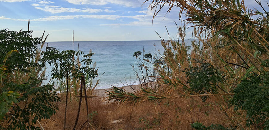 Land for Sale Jbeil ( Byblos City ) Area 3931Sqm