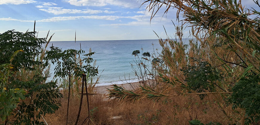 Land for Sale Jbeil ( Byblos City ) Area 3931Sqm