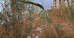 Land for Sale Jbeil ( Byblos City ) Area 3931Sqm