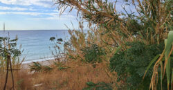 Land for Sale Jbeil ( Byblos City ) Area 3931Sqm