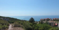 Land for Sale Halat Jbeil Area 938Sqm