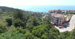 Land for Sale Halat Jbeil Area 938Sqm