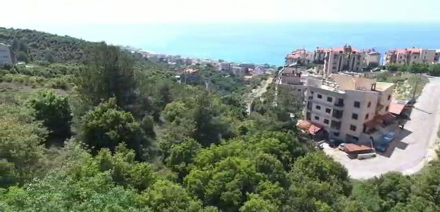 Land for Sale Halat Jbeil Area 938Sqm