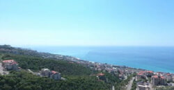 Land for Sale Halat Jbeil Area 938Sqm