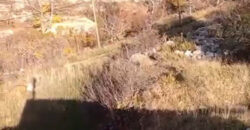 Land for Sale Chatine Batroun Area 3169Sqm