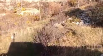 Land for Sale Chatine Batroun Area 3169Sqm