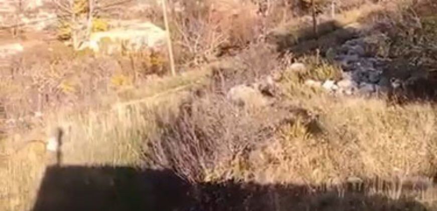 Land for Sale Chatine Batroun Area 3169Sqm