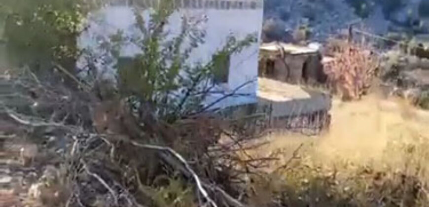 Land for Sale Chatine Batroun Area 3169Sqm