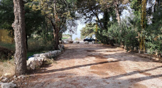 Land for Sale Zebdine ( Maayane ) Jbeil Area 750Sqm
