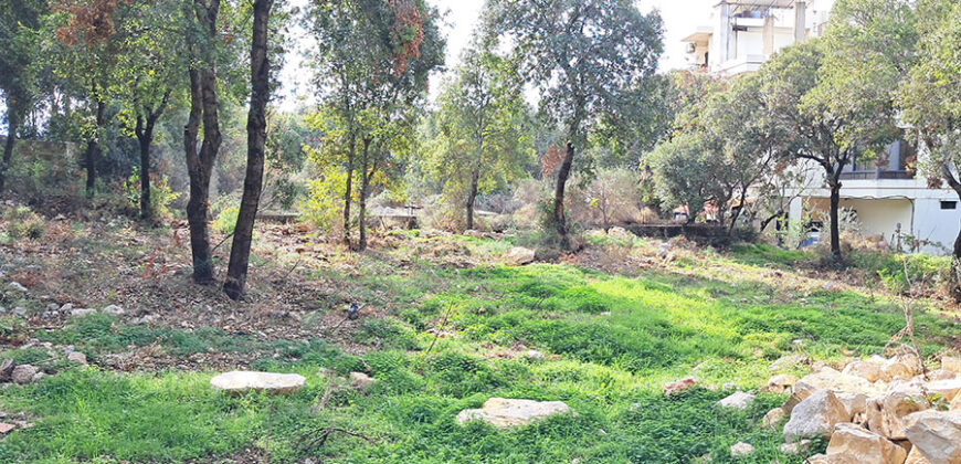 Land for Sale Zebdine ( Maayane ) Jbeil Area 750Sqm