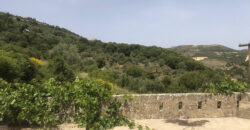 Old House for Sale Kour Batroun Housing Area 300Sqm Two Floor & Land Area 8900Sqm