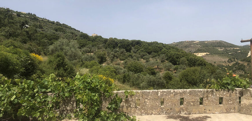 Old House for Sale Kour Batroun Housing Area 300Sqm Two Floor & Land Area 8900Sqm